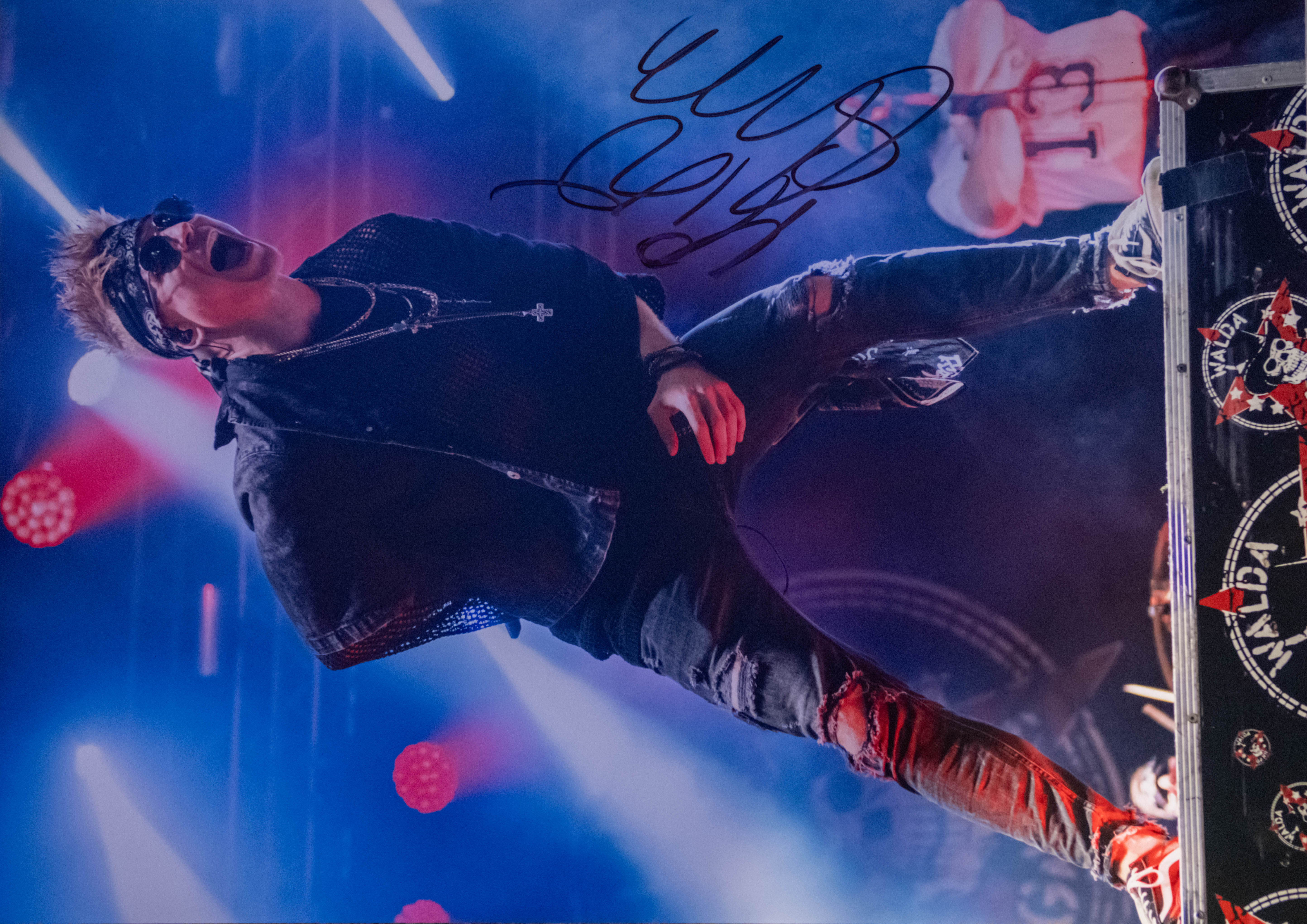 =Miro Šmajda z kapely Walda Gang